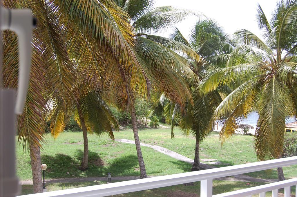 Iguana studio vue mer Saint-Francois  Exterior foto