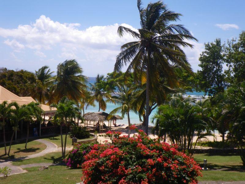 Iguana studio vue mer Saint-Francois  Exterior foto