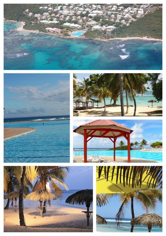 Iguana studio vue mer Saint-Francois  Exterior foto